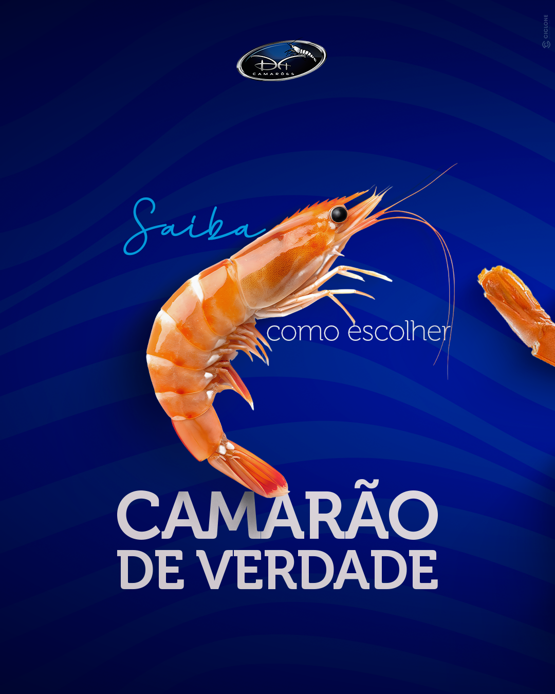Trabalho